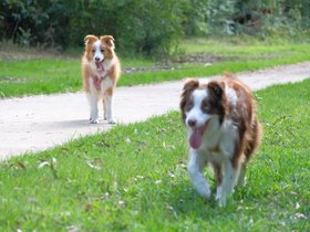 2023-01-11 Pip and Posey (bis).jpg